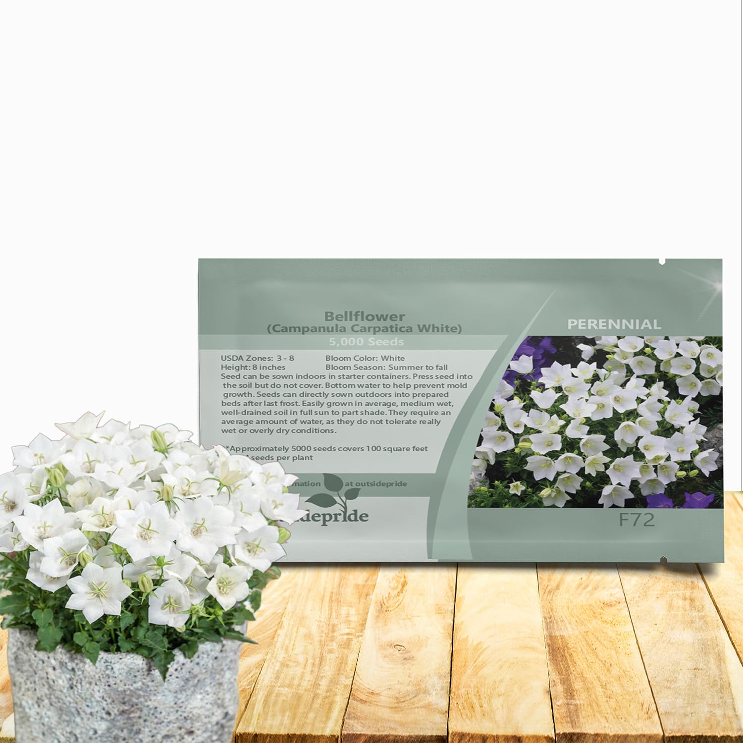 Amazon.com : Outsidepride White Bellflower Seeds for Planting